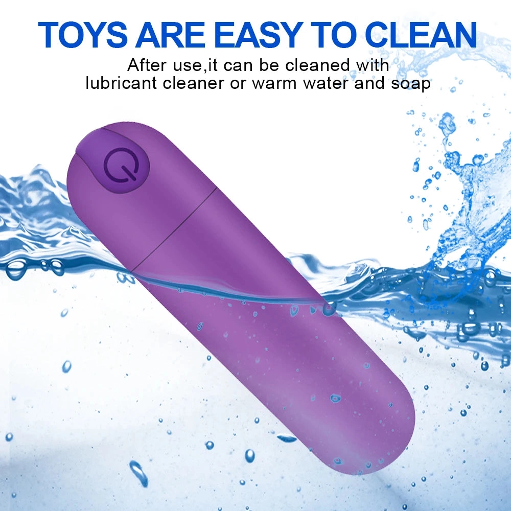 10 Speeds Mini Black Silver Purple Bullet Vibrator