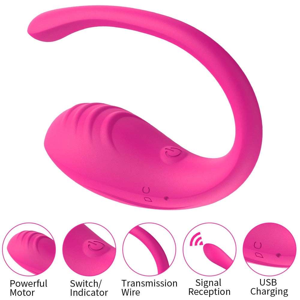 9 Speed APP Controlled Vaginal Vibrators G Spot Anal Vibrating Egg Massager Wearable Vibrator