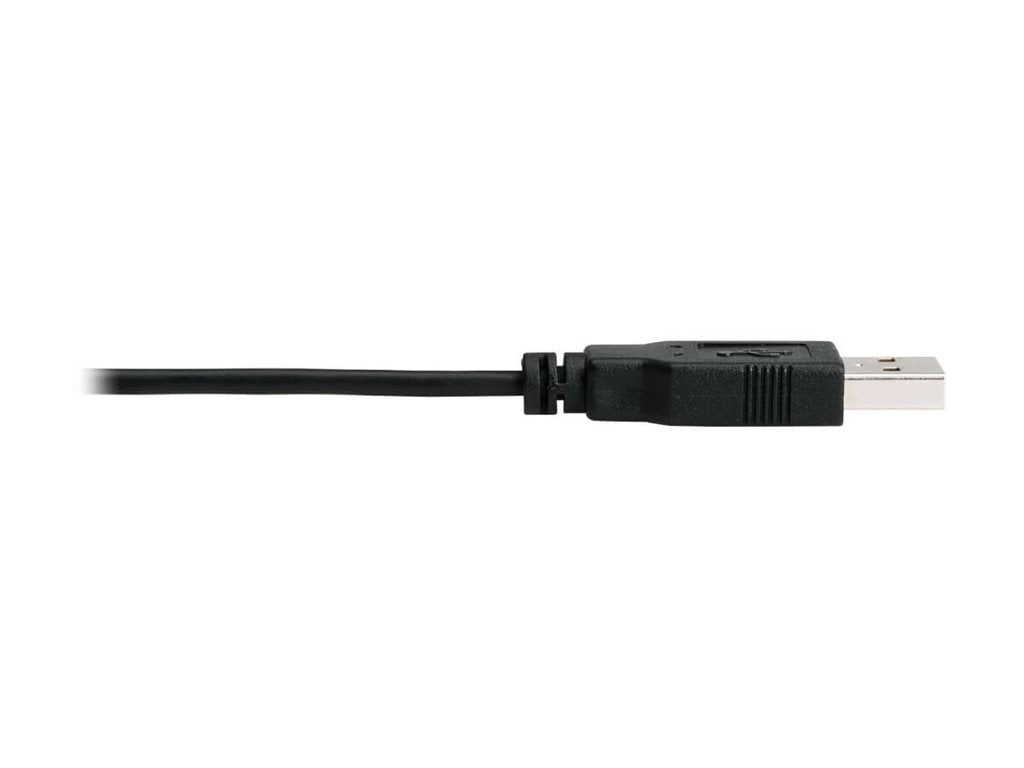 Eaton Tripp Lite Series 8K HDMI to DisplayPort Active Converter M/F with USB Power 1ft 0.3 m - Adapter cable - HDMI male to DisplayPort P130-06N-DP-8K