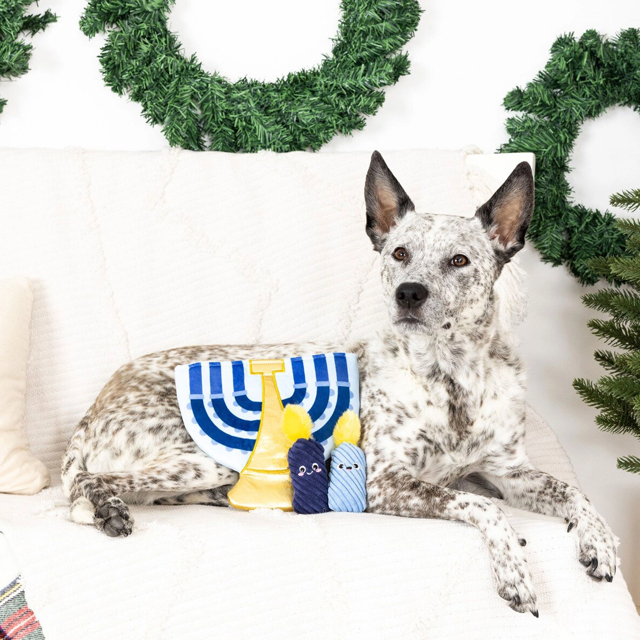 Fringe A Lit Hanukkah Burrow Blue Dog Toys