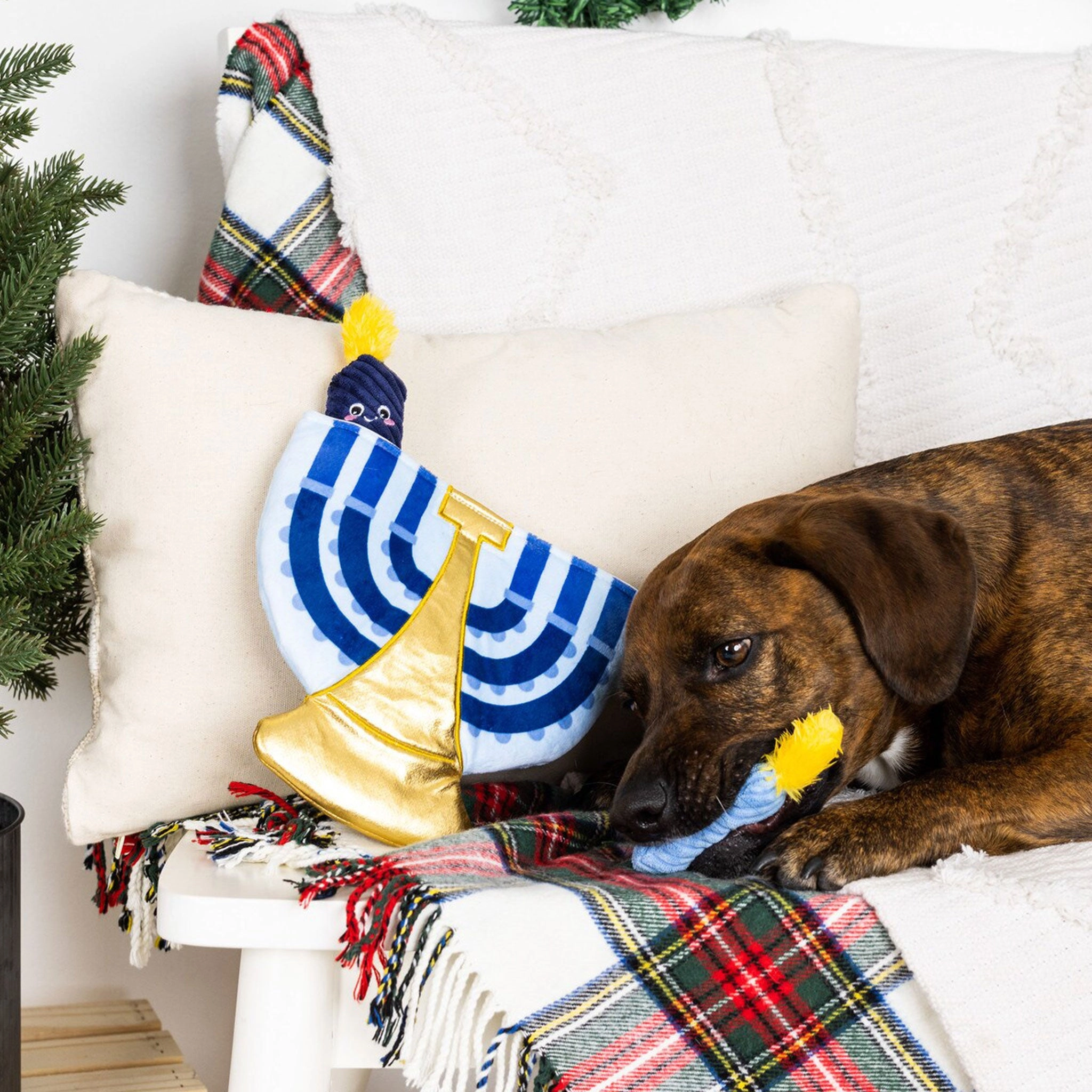 Fringe A Lit Hanukkah Burrow Blue Dog Toys