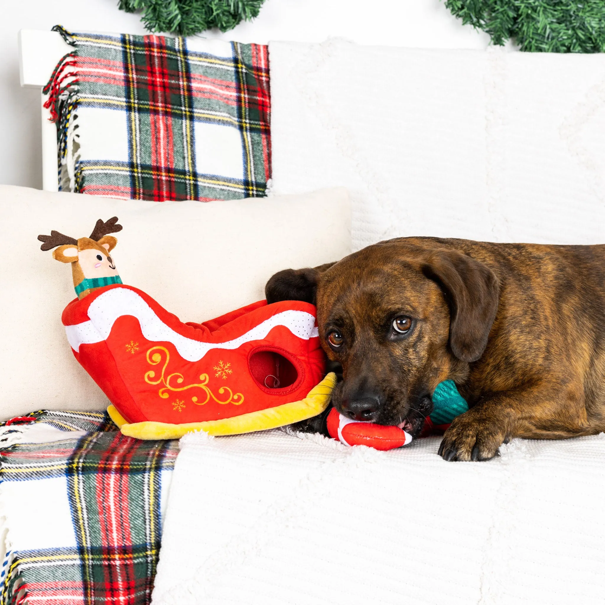 Fringe Hold on for Deer Life Burrow Multi Dog Toys