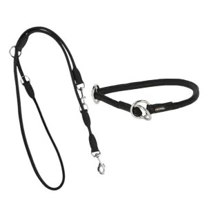 Genuine Leather Choke Collar/Wrist Binder With Leash