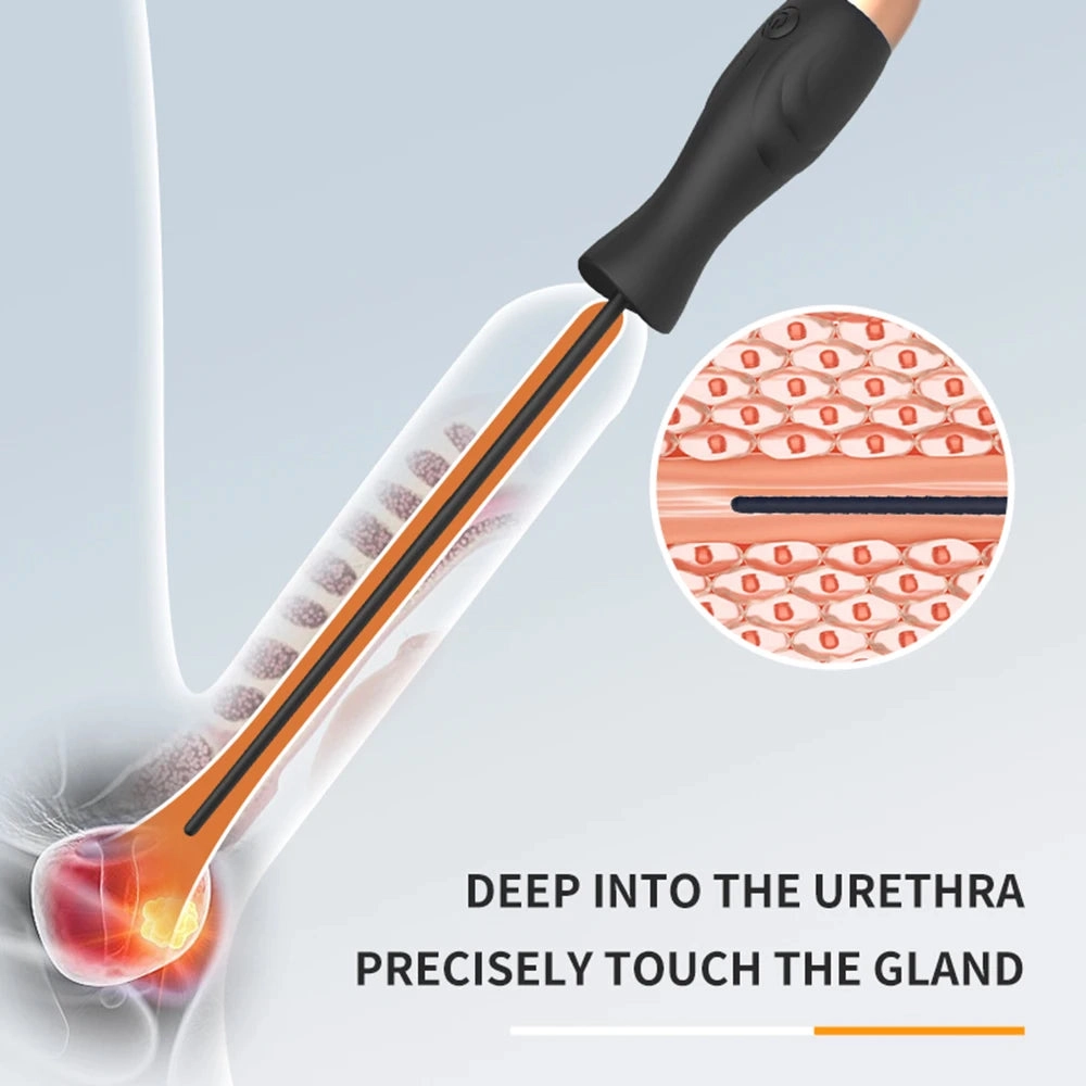 Male Urethral Dilators