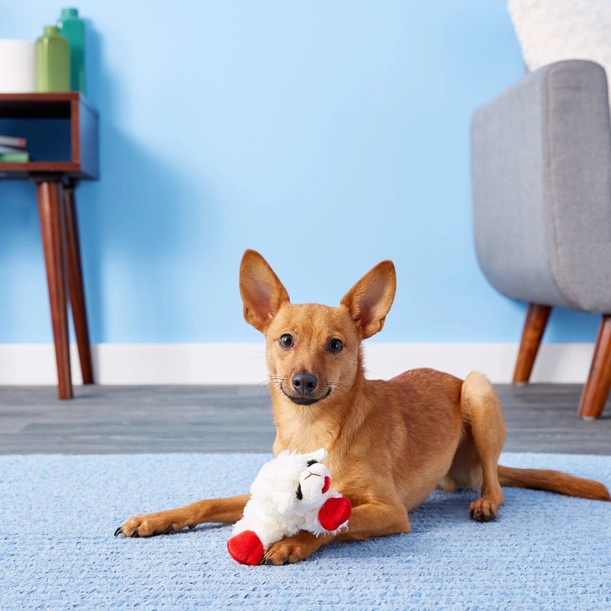 Multipet Lamb Chop Dog Toy
