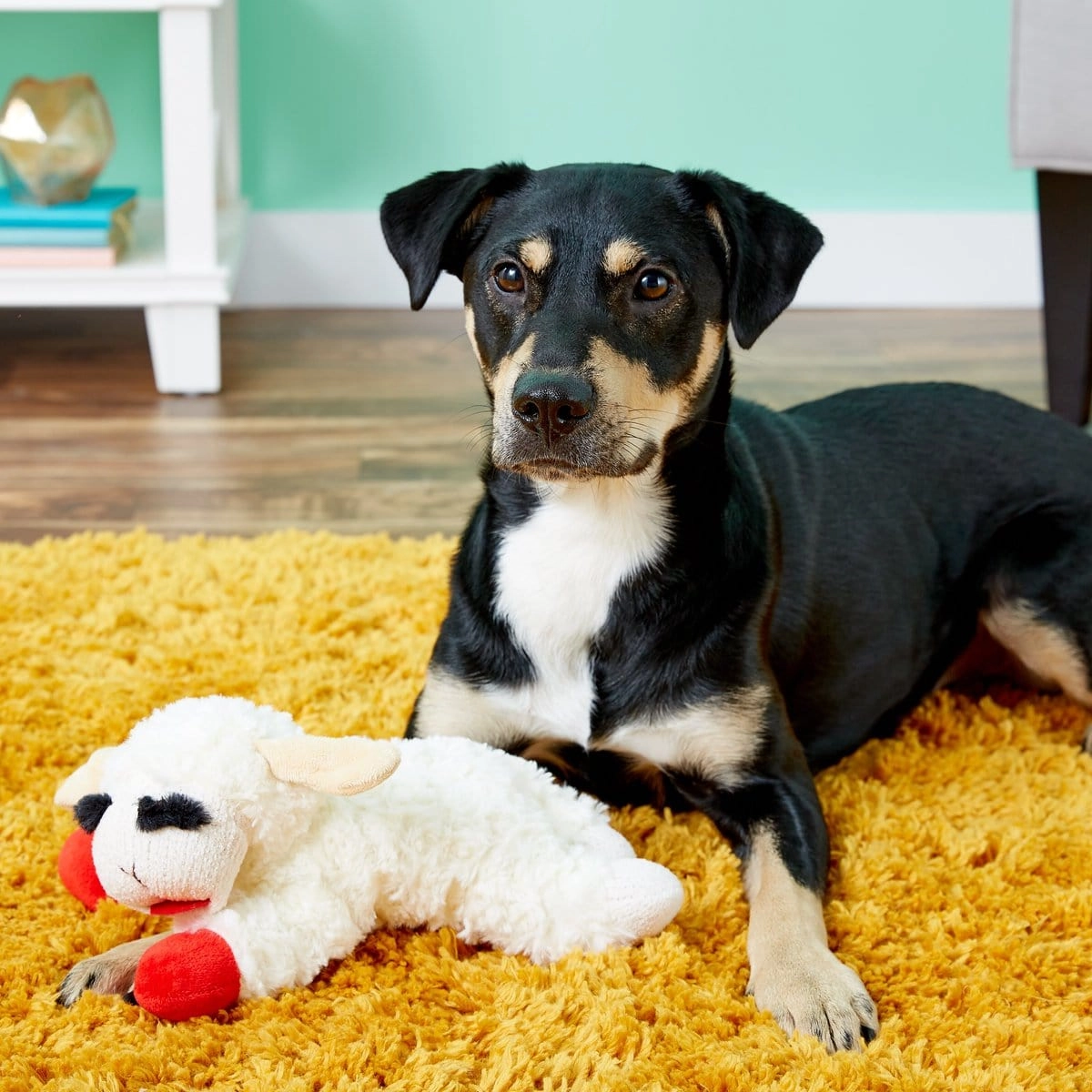Multipet Lamb Chop Dog Toy