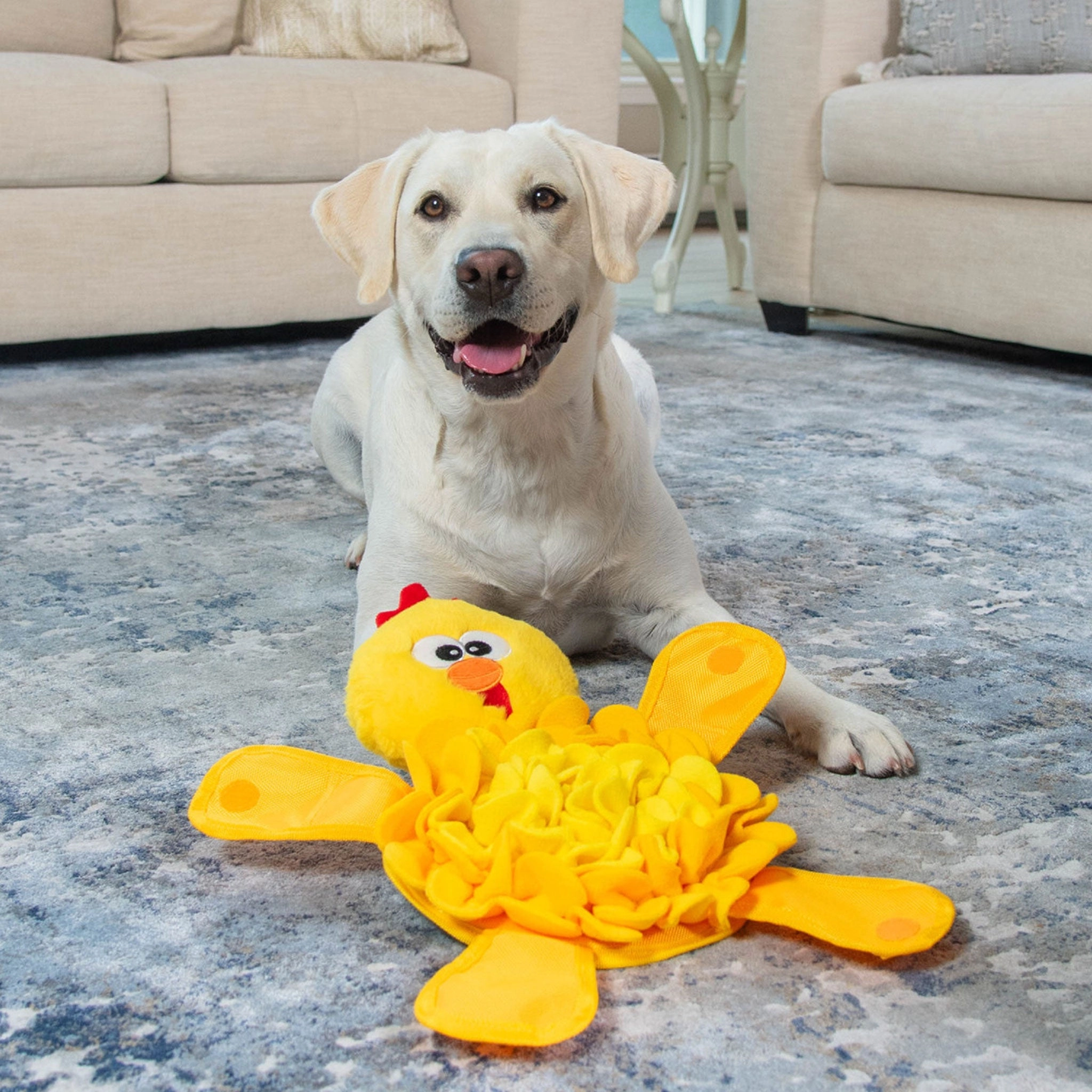 Nina Ottosson Snuffle Palz Chicken Dog Toy