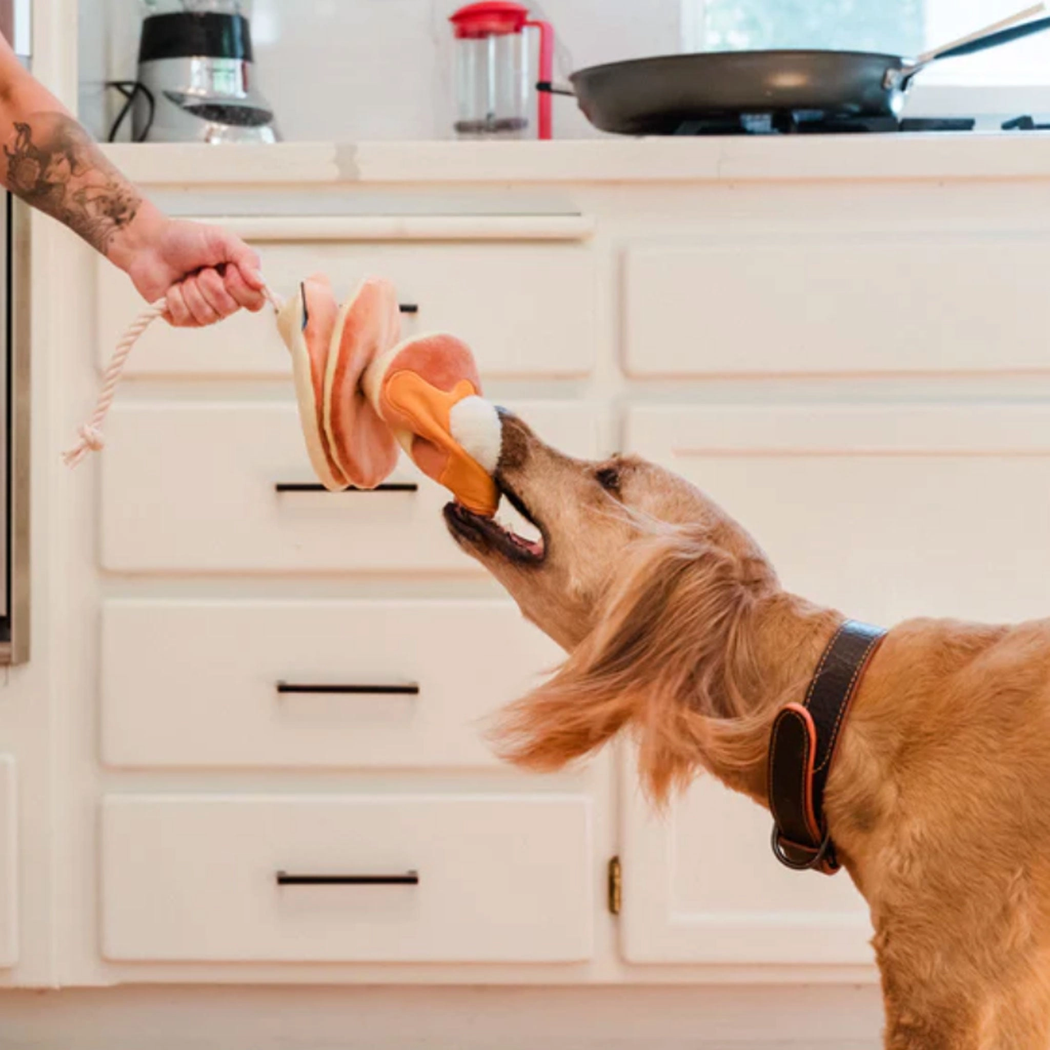 P.L.A.Y. IHOP Pancake Brown Dog Toys