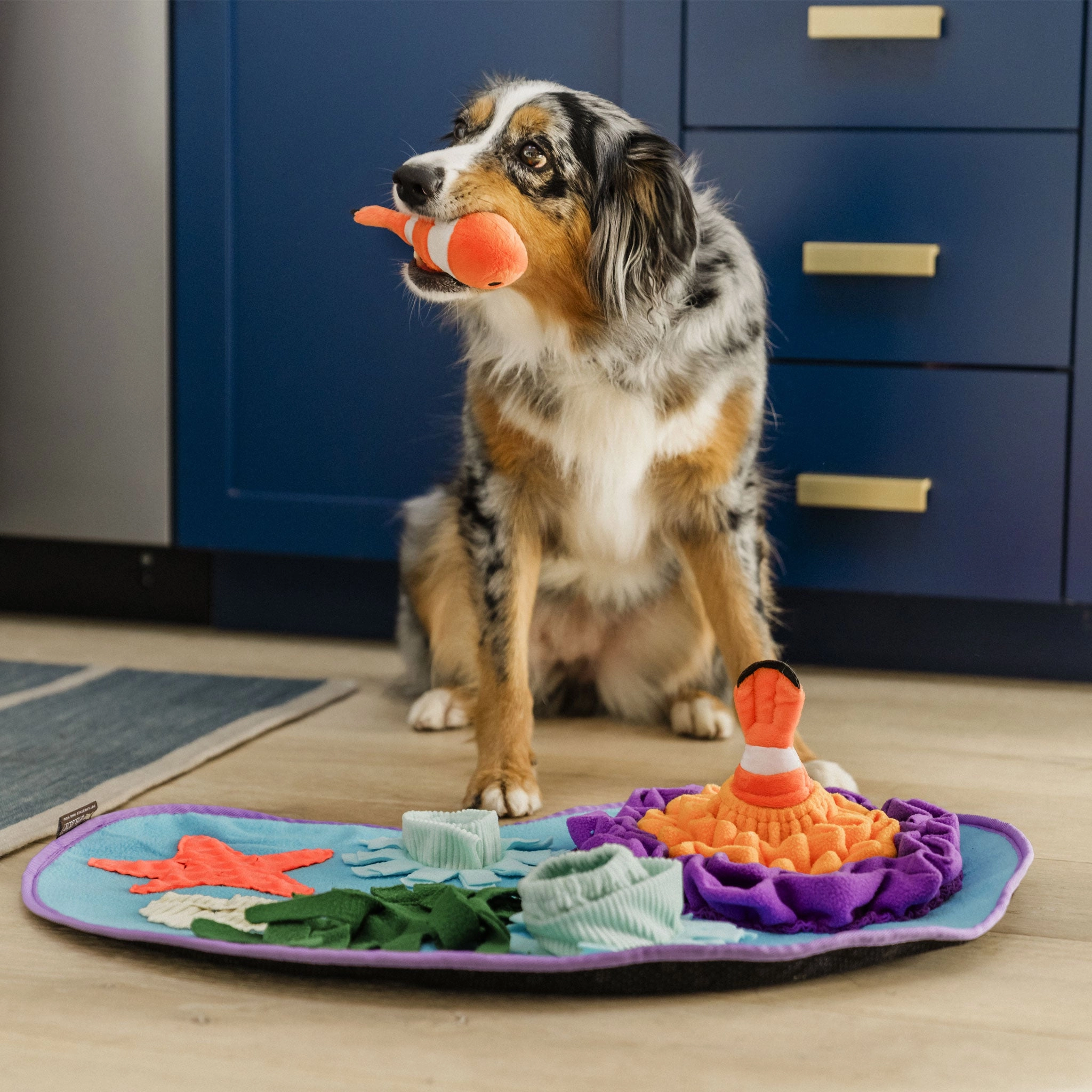 P.L.A.Y. Snuffle Mat Coral Cove Dog Toys