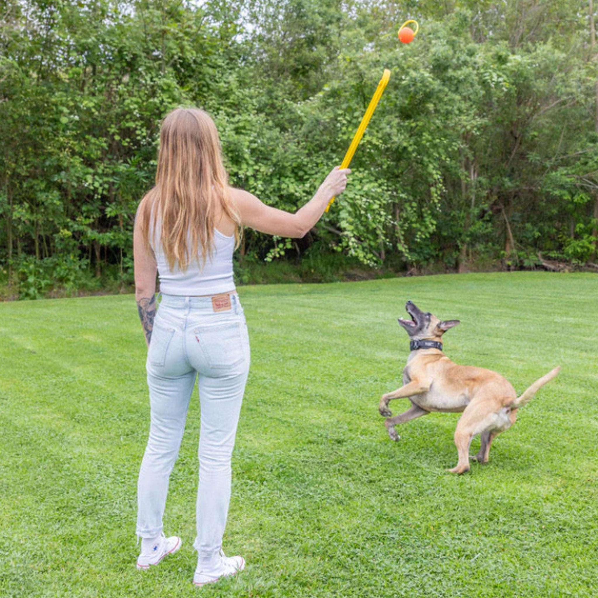 Project Hive Looped Ball Orange Dog Toys