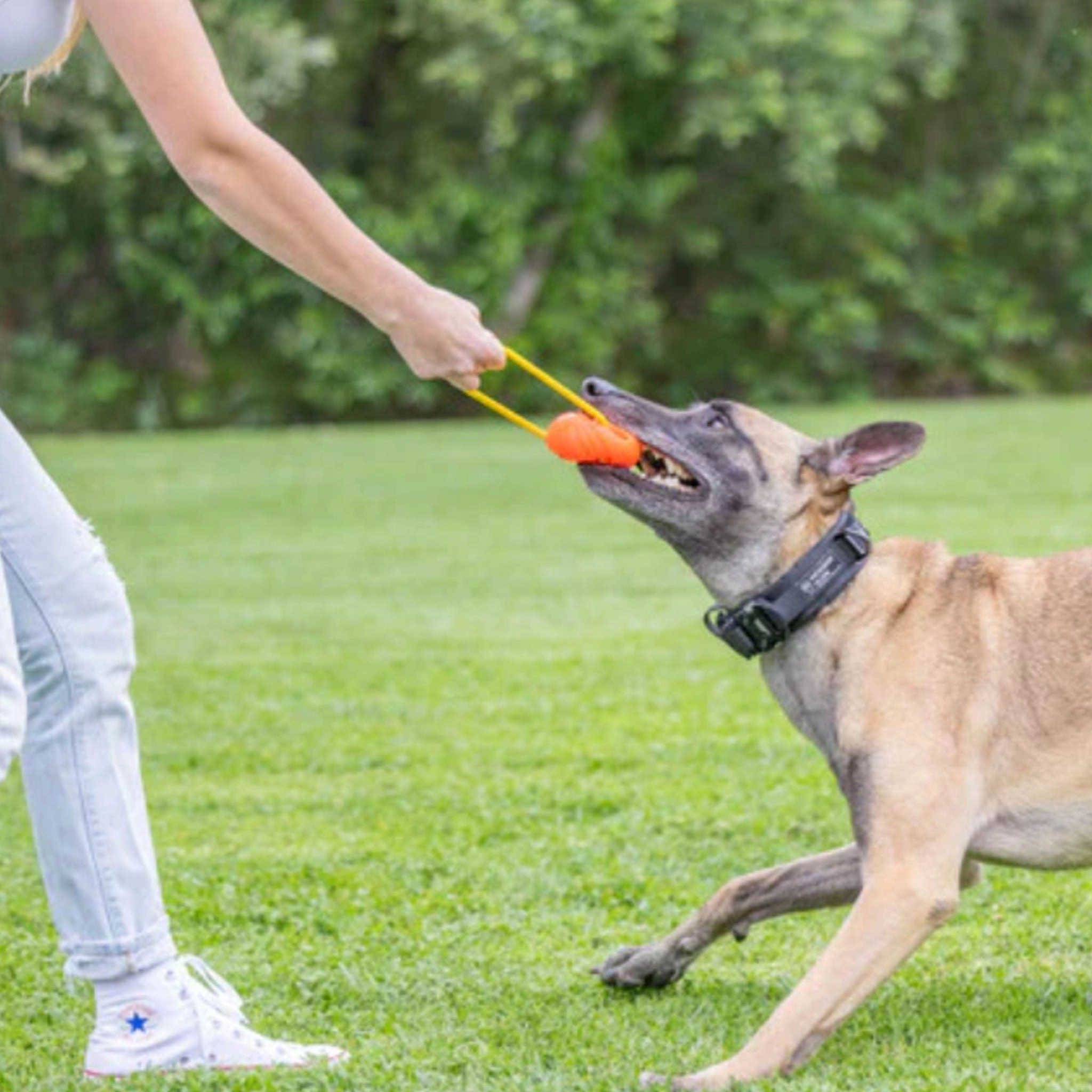 Project Hive Looped Ball Orange Dog Toys