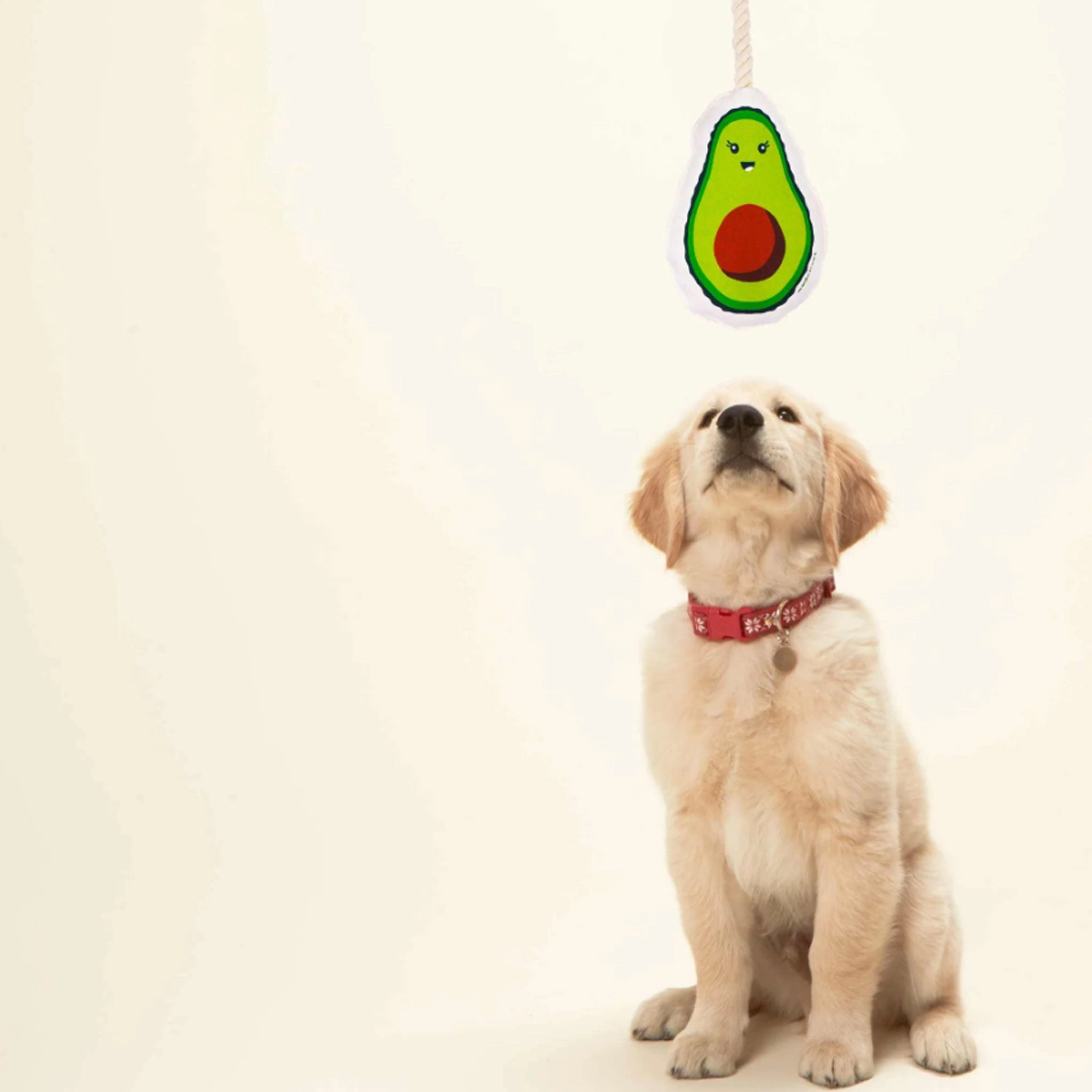 Speckle & Spot Avocado Rope Dog Toy