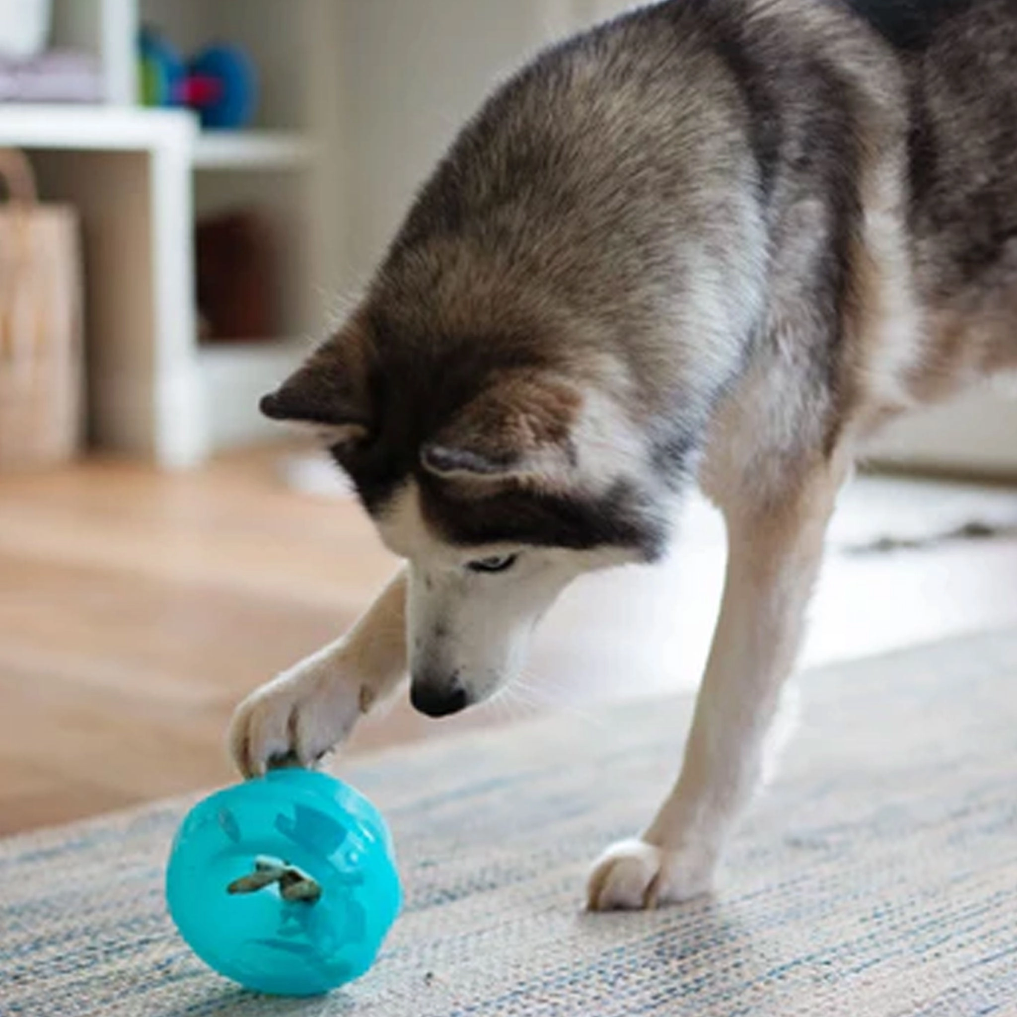 Totally Pooched Stuff'n Wobble Ball Teal Dog Toys