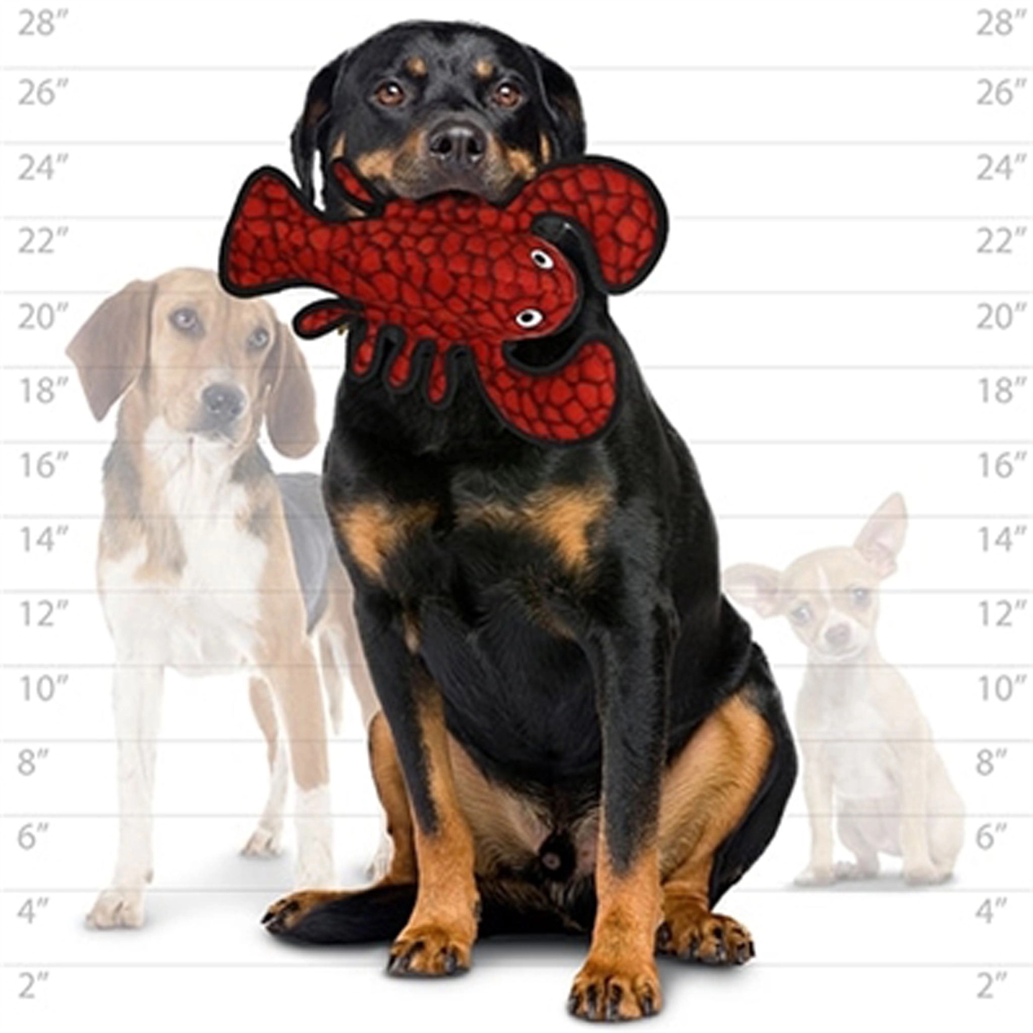 VIP Products Sea Larry Lobster Dog Toy