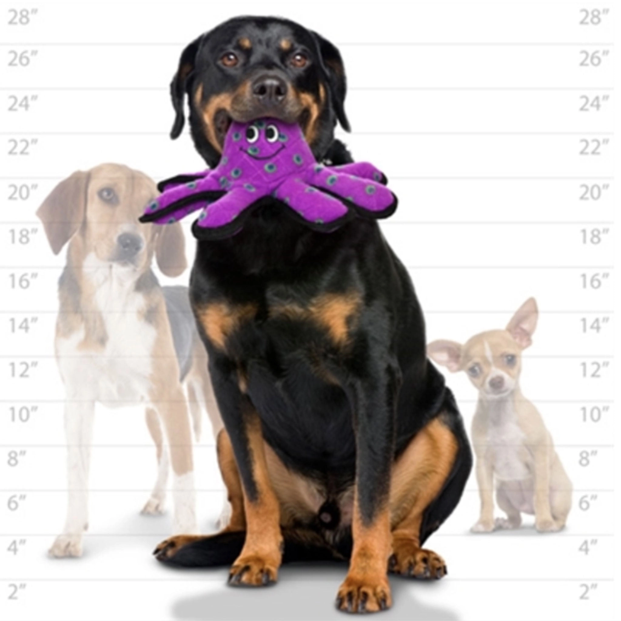 VIP Products Sea Octopus Oscar Dog Toy